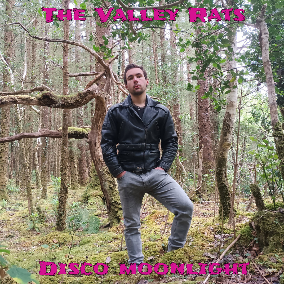 Disco Moonlight cover