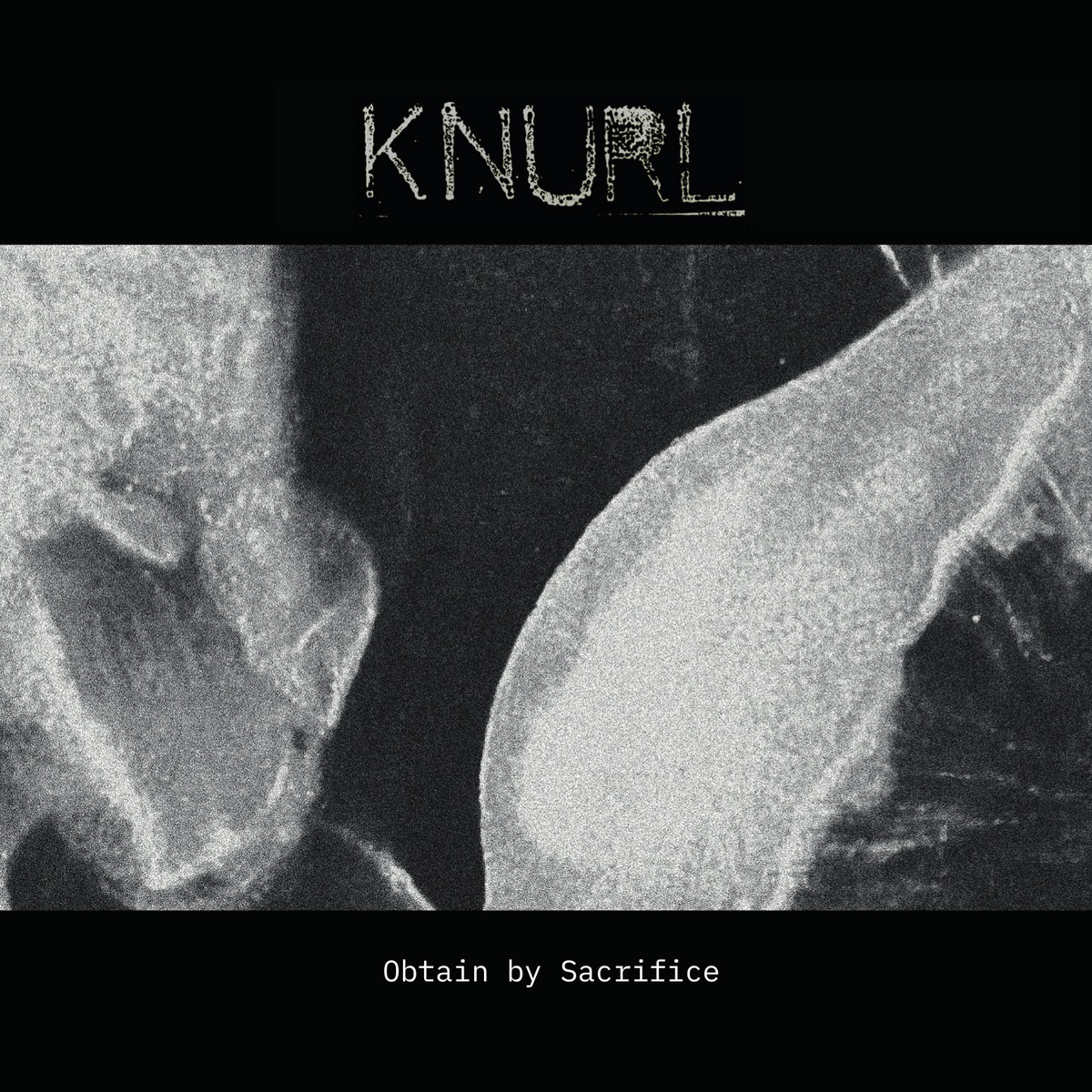 Obtain By Sacrifice cover