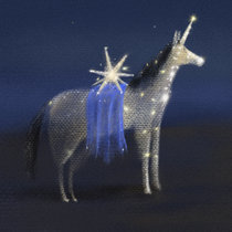 Nicky Elisabeth — Sparklestar
