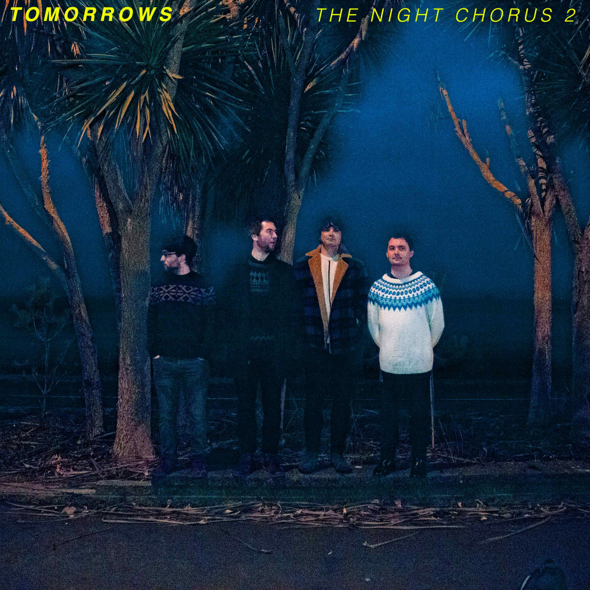 The Night Chorus 2 cover