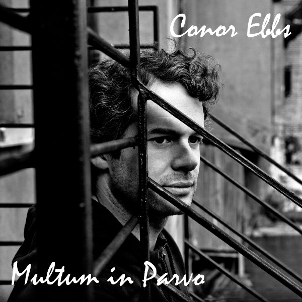 Multum in Parvo cover