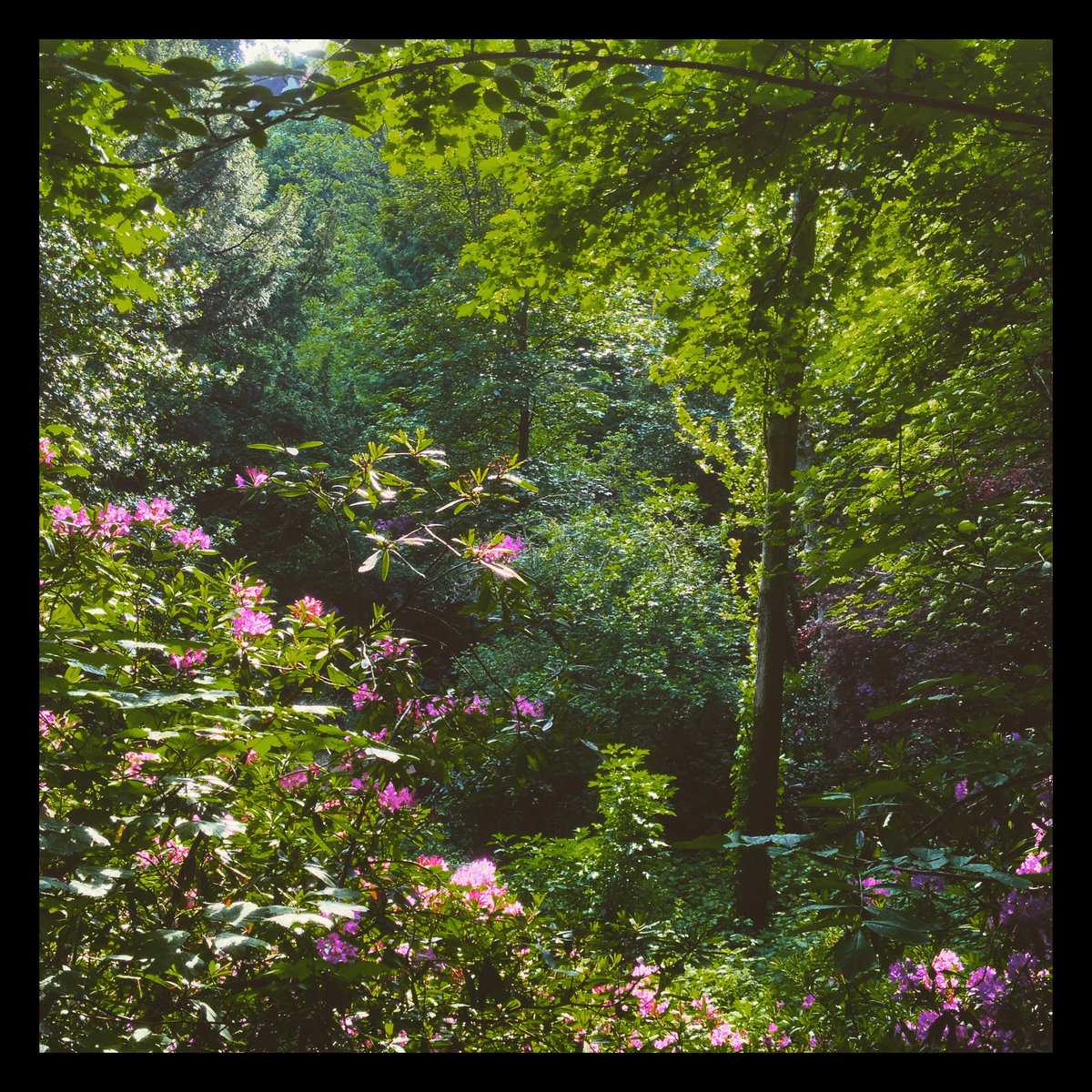 You Were My Friend EP cover