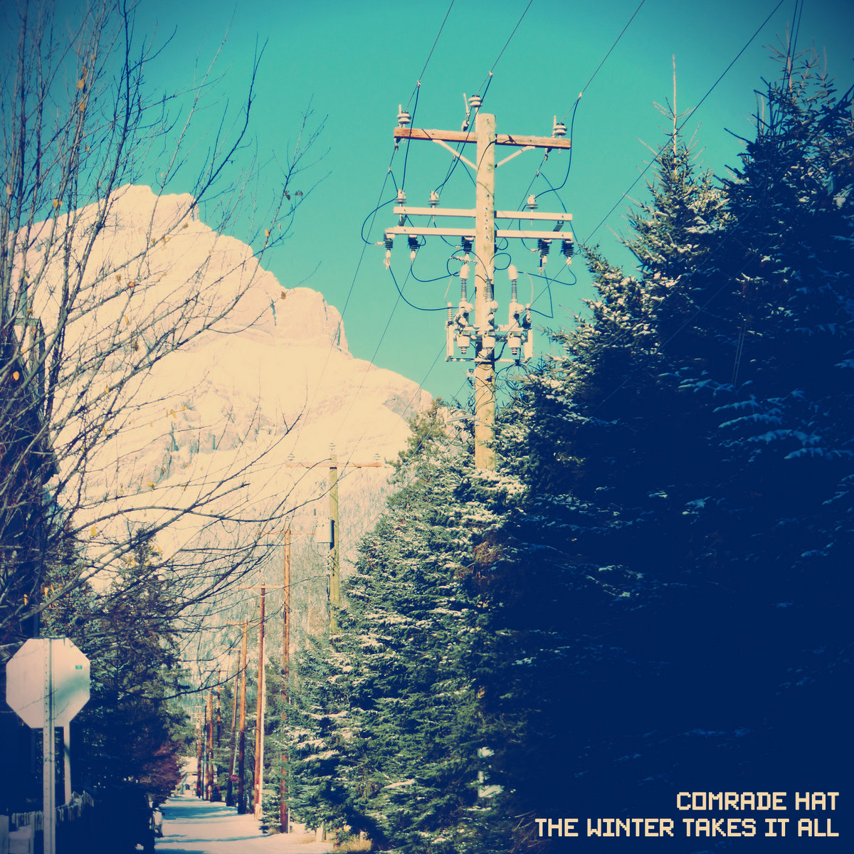 The Winter Takes It All cover