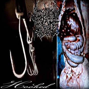Cover of Hooked