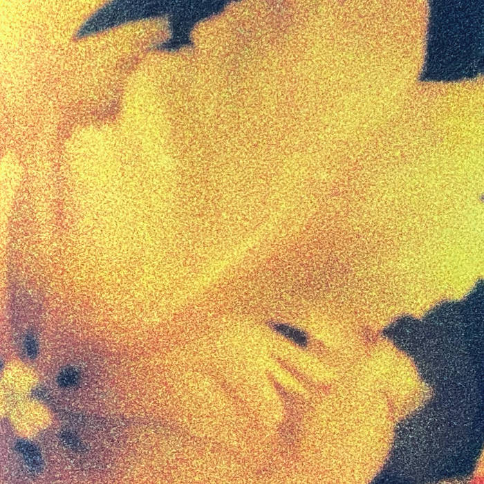 Orchid di nthng