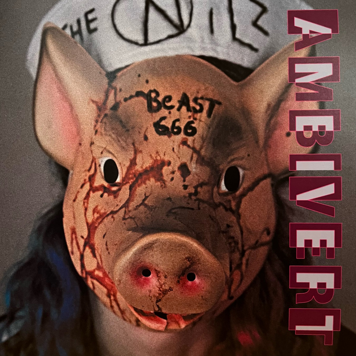 Ambivert cover