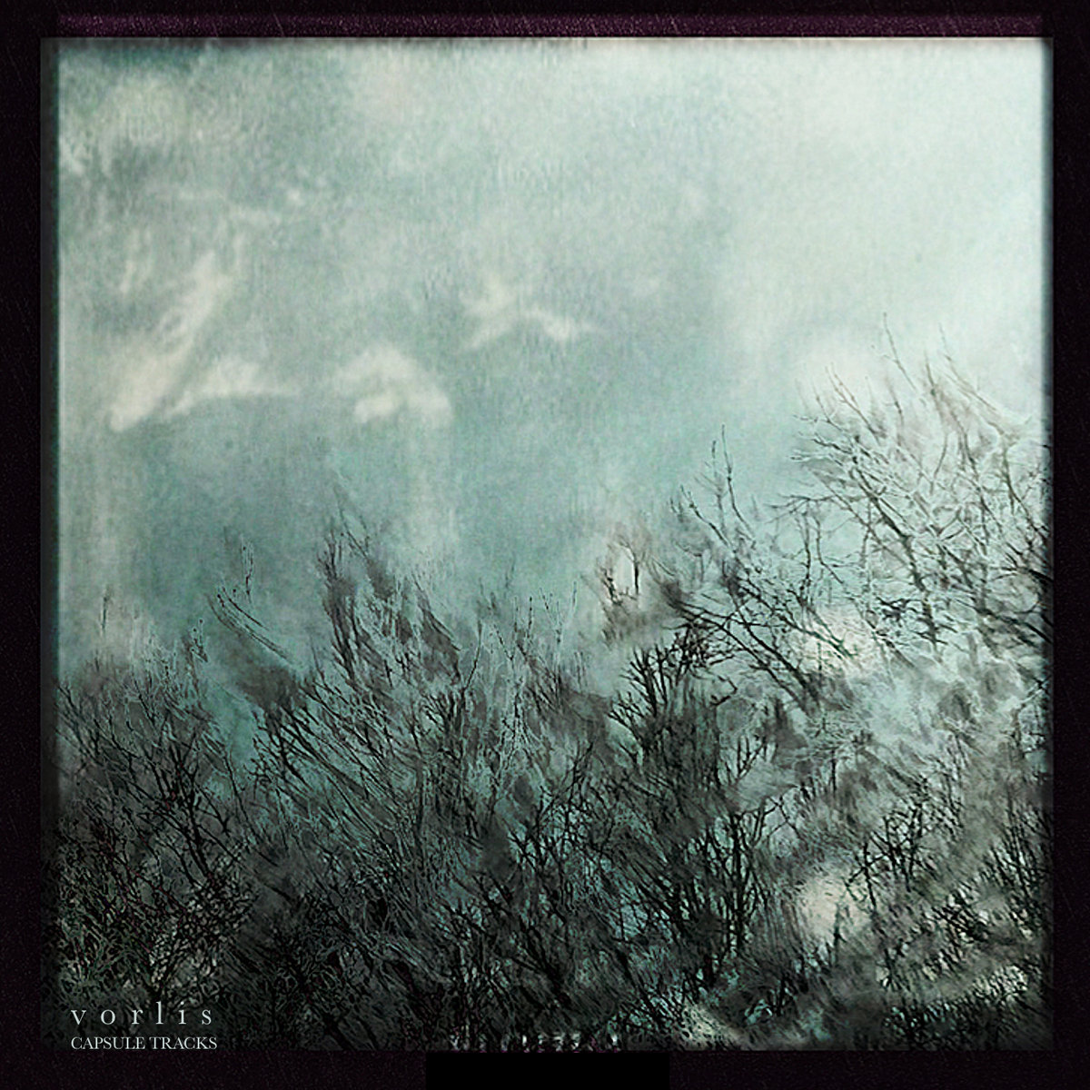 Capsule Tracks cover