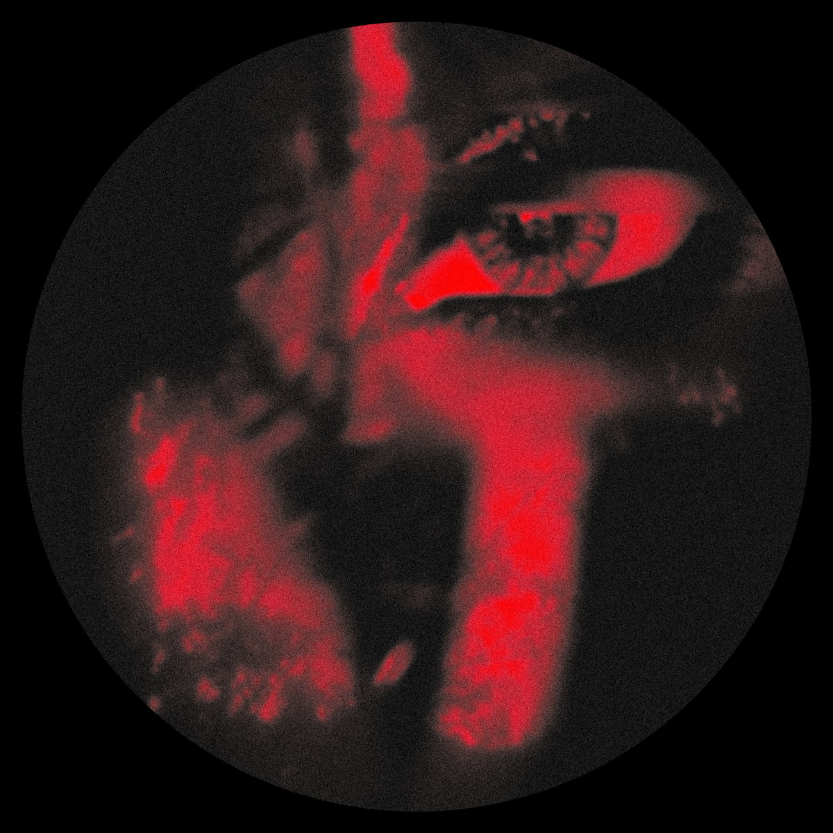 Biosignature EP cover