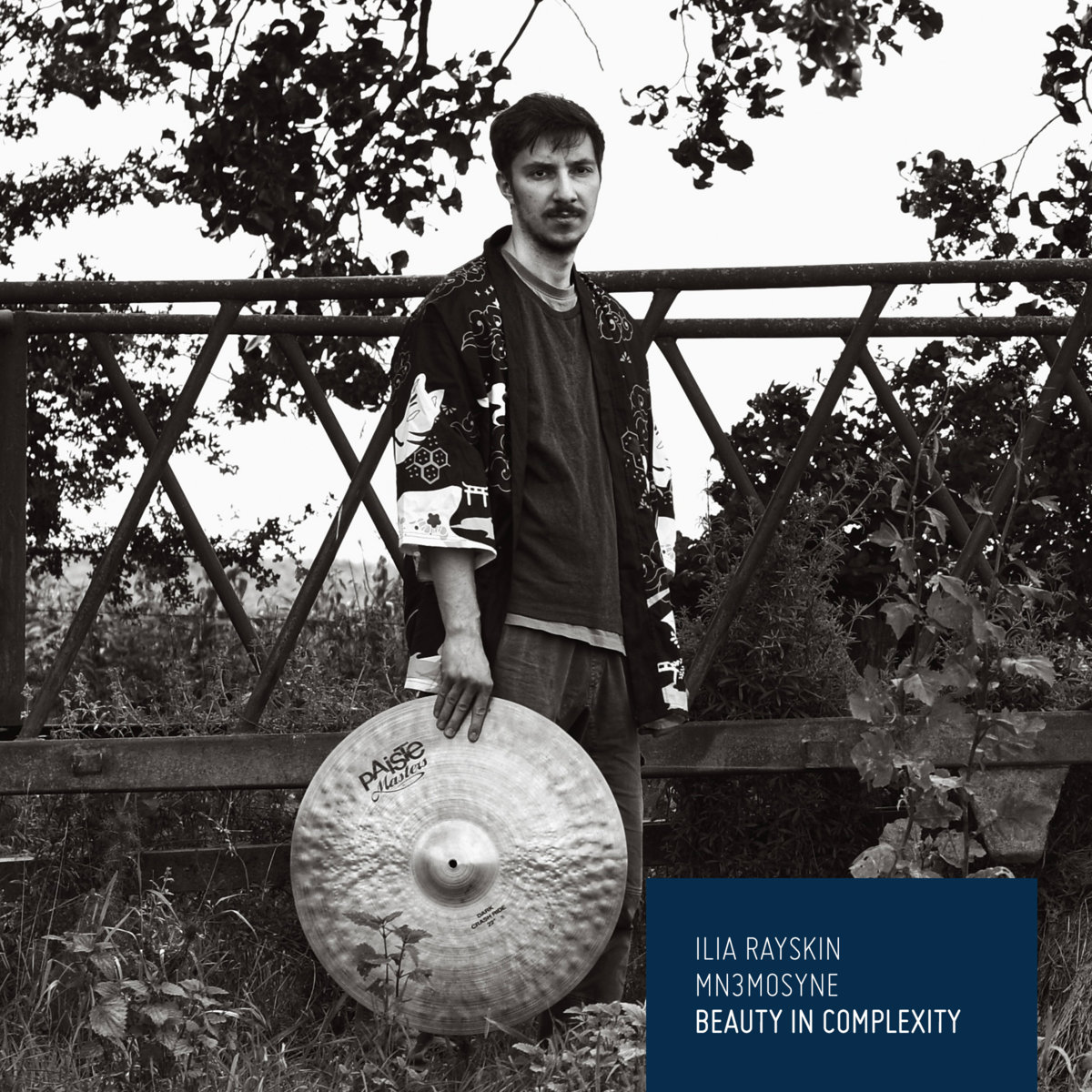 Beauty in Complexity — Ilia Rayskin