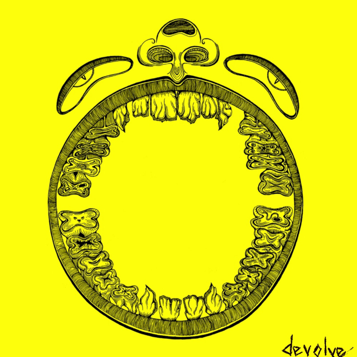 devolve cover