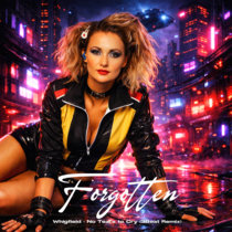 3Beat — Whigfield - No Tears to Cry (3Beat Remix)