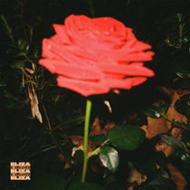 ELIZA — Midnight Rose