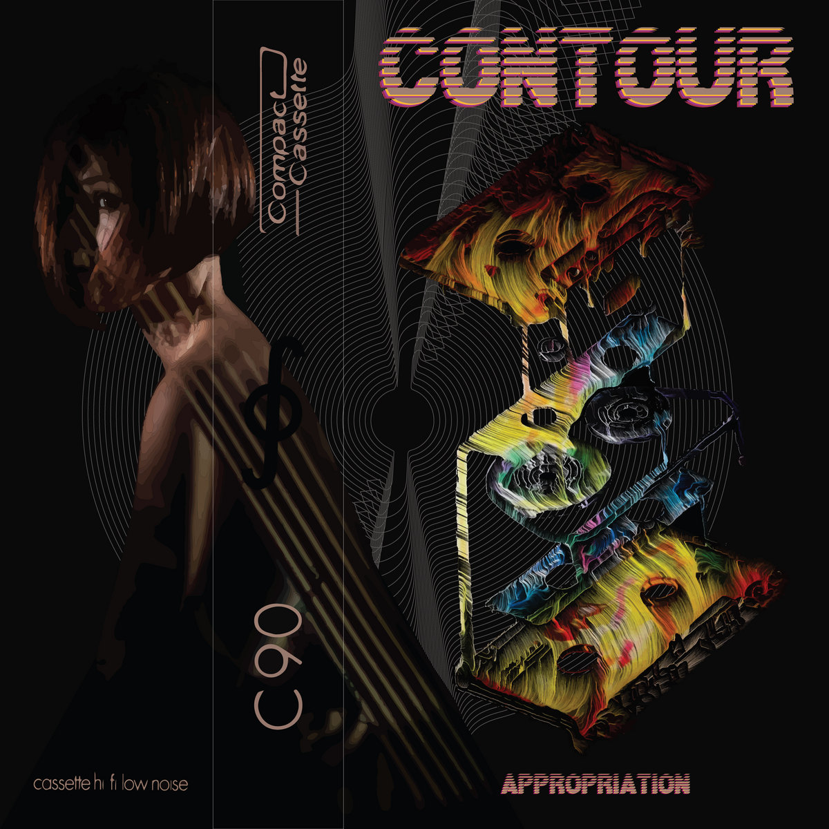 Appropriation cover