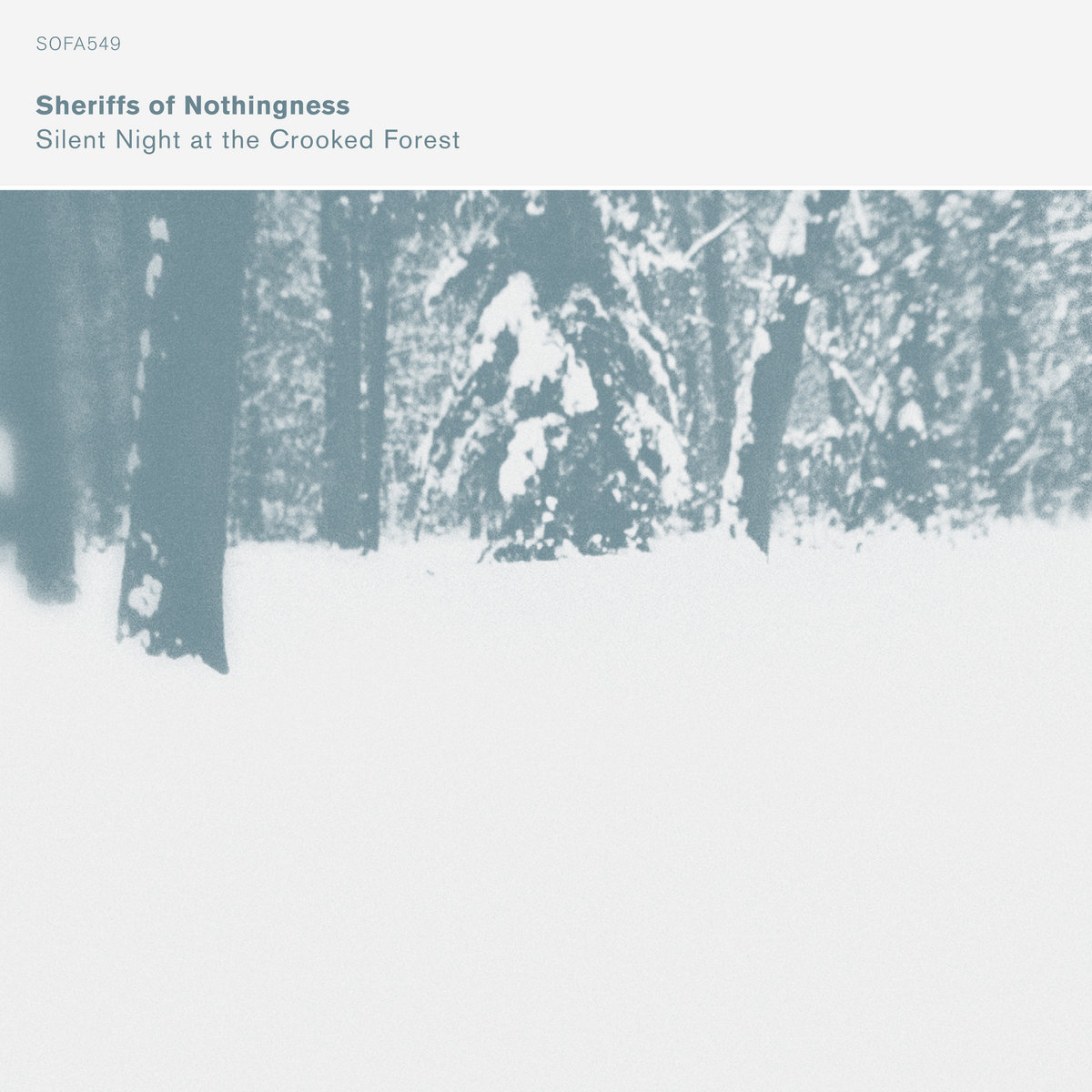 Silent Night At The Crooked Forest