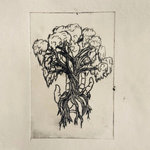 Trembling Hands EP cover