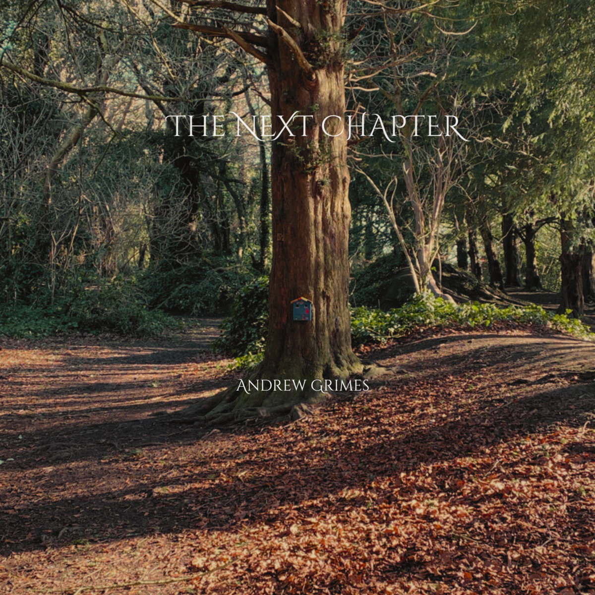 The Next Chapter cover