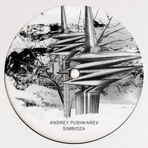 Berg Audio — ANDREY PUSHKAREV - "SIMBIOZA"
