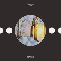 Guyrot & ILLEGAL — SATYADGTL036 - Moodriser