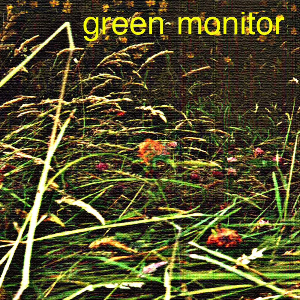 In the Long Grass cover