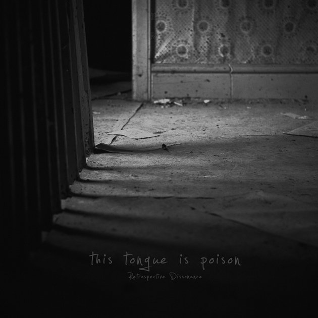 Retrospective Dissonance cover