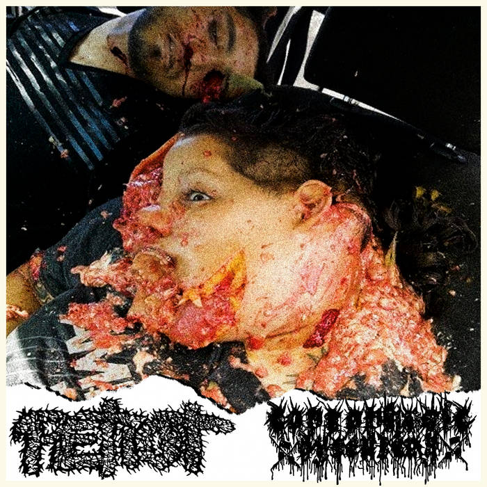 Split with Coprophagic Dysentery