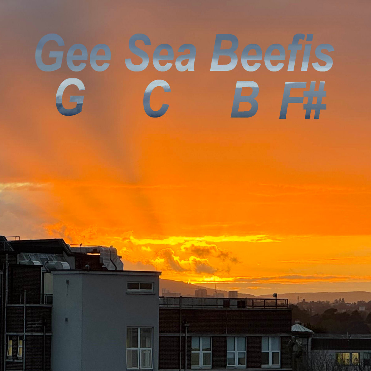 Gee Sea Beefis cover