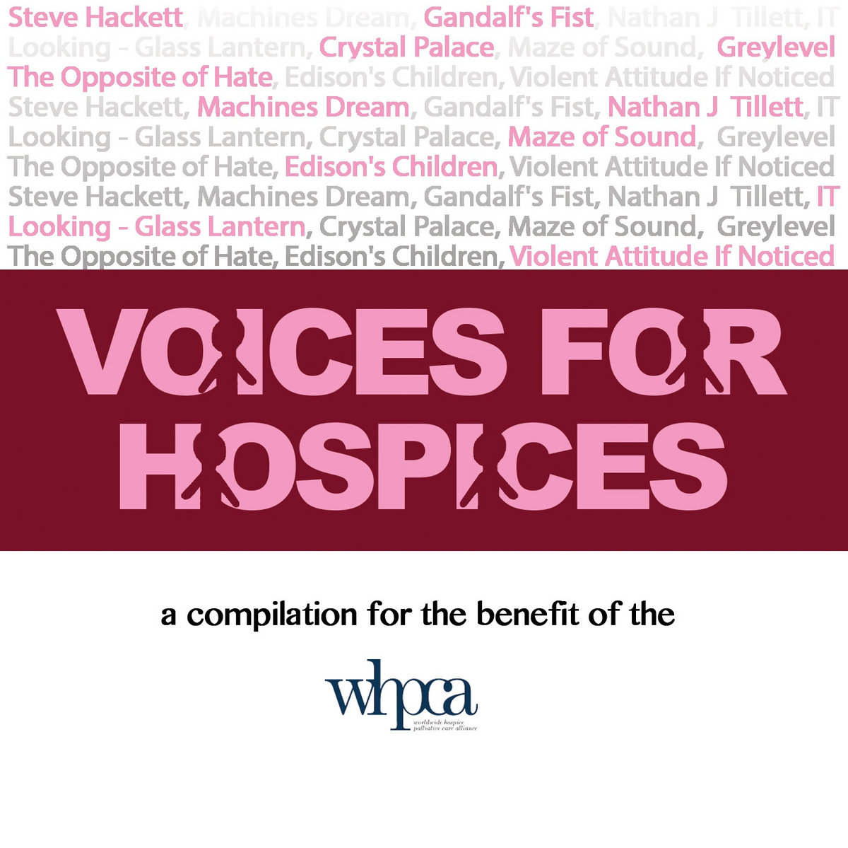 Voices for Hospices cover