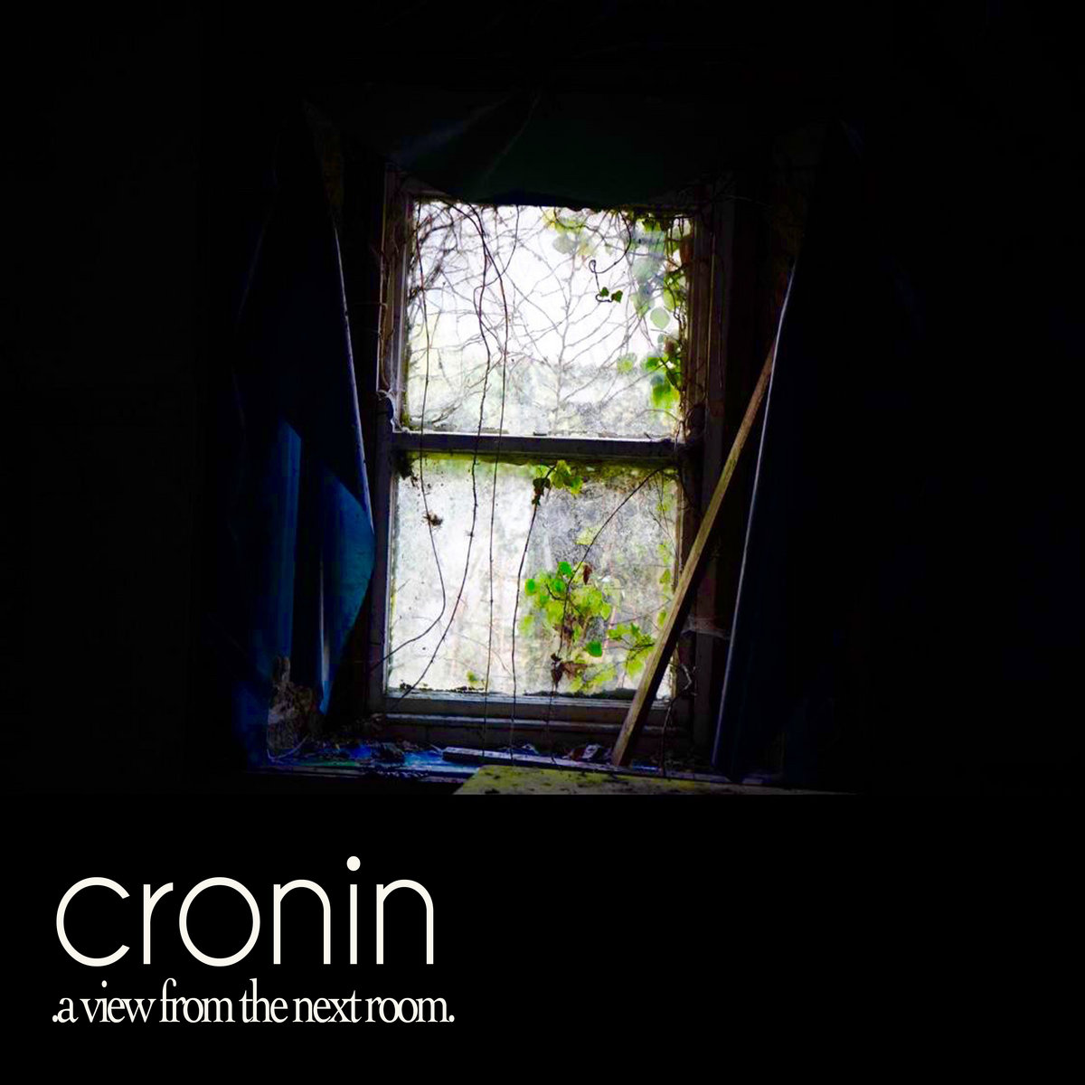 A view from the next room cover