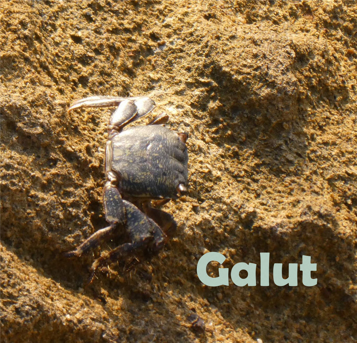 GALUT: Ballads of Wadi-Sabi