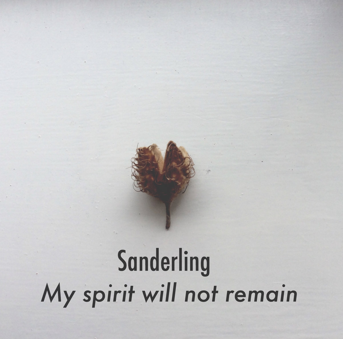My spirit will not remain cover