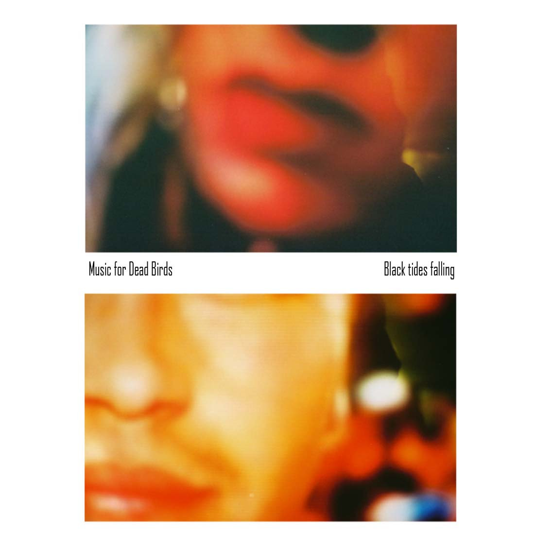 Black Tides Falling cover