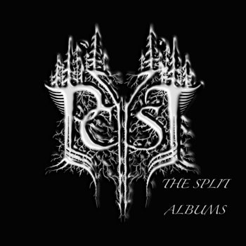 Cover of Collected Split Albums