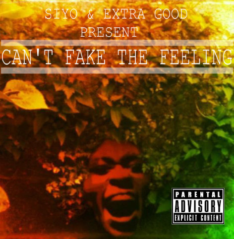 Can't Fake The Feeling cover