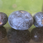 berry bits (inedible) cover