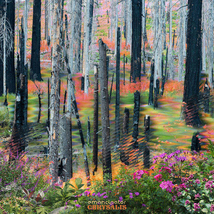 Silent Clay di emancipator