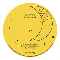 Playedby.wav — Aloe Varu (aka Dan Andrei) - At The Blaumilchkanal [Playedby015]
