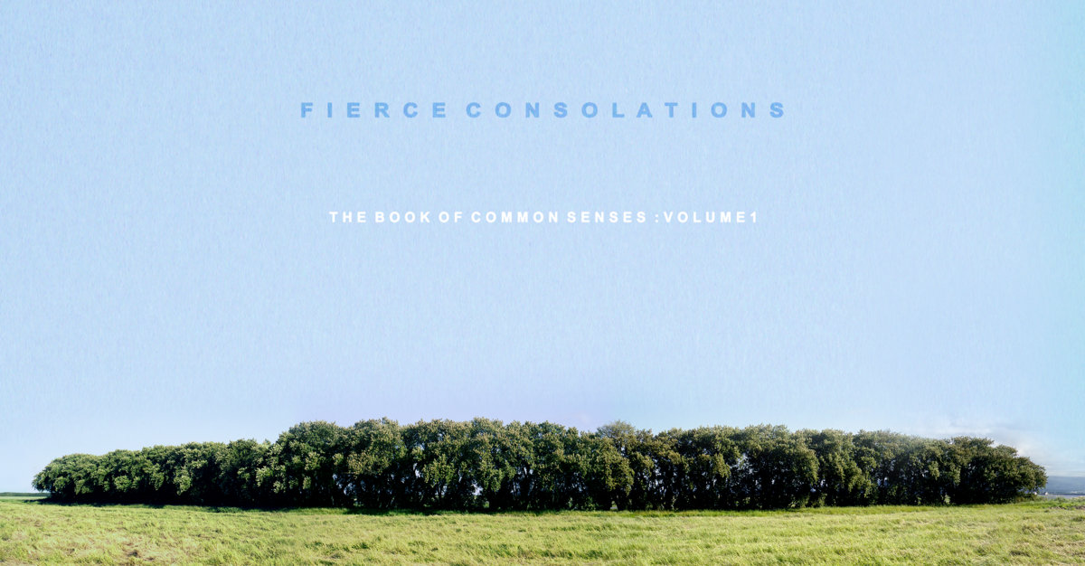 Vol.1: Fierce Consolations cover