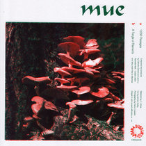 MUE — 1,000 Passages b/w A Tangle of Filaments