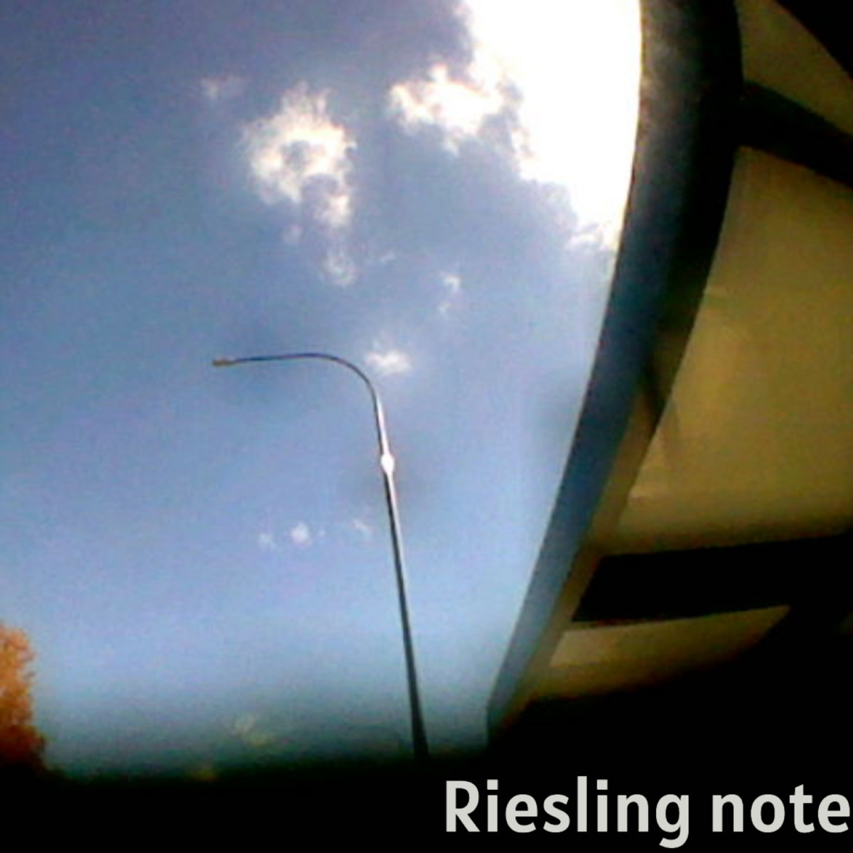 Riesling note