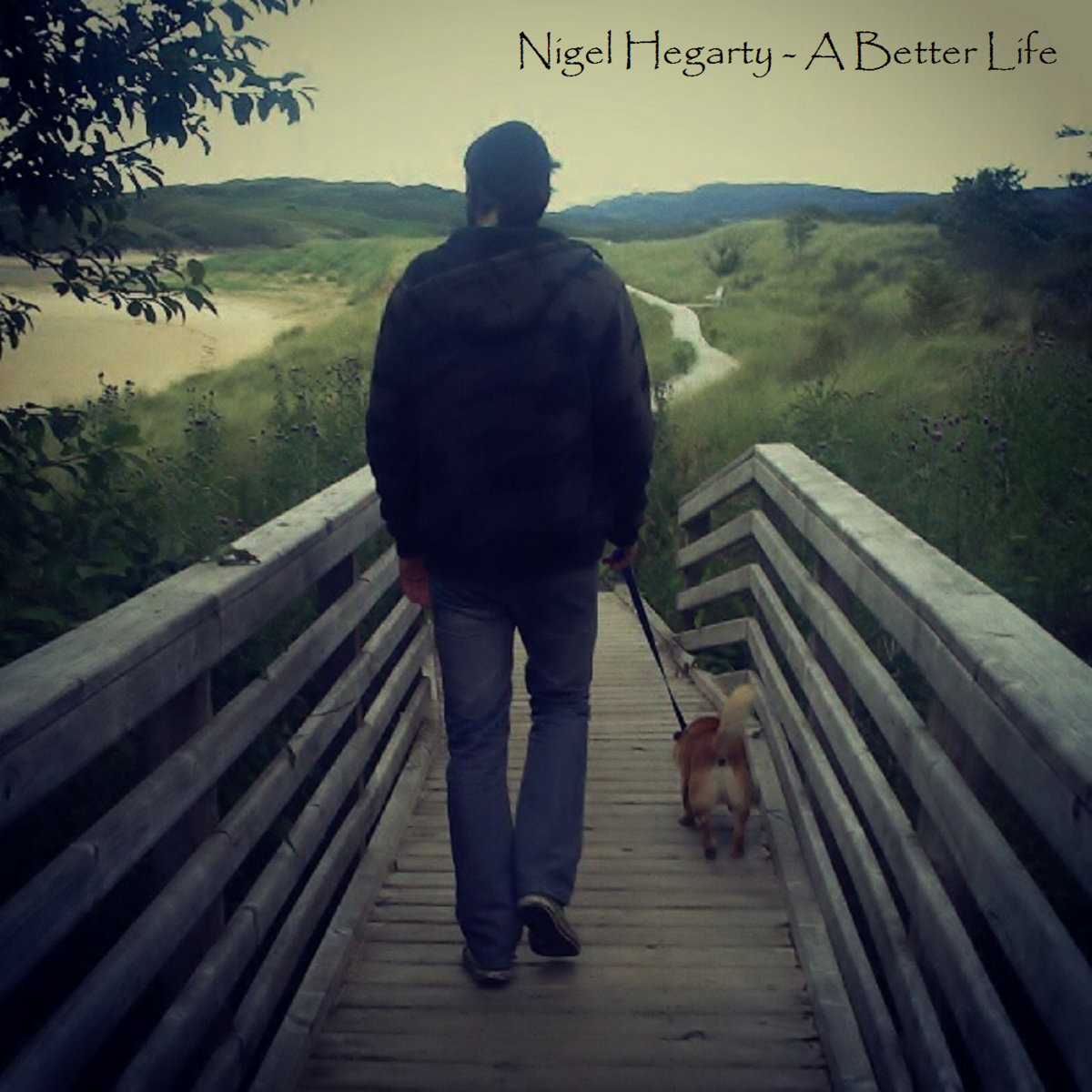 A Better Life cover
