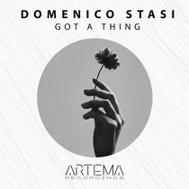 Domenico Stasi — Got A Thing