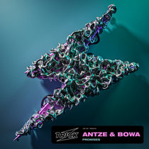 Antze & Bowa — Promises