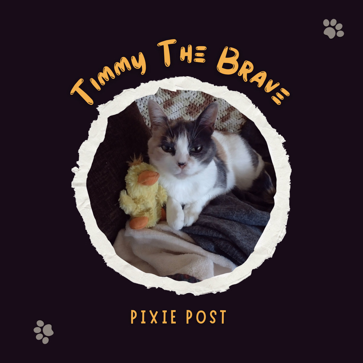 Timmy, The Brave