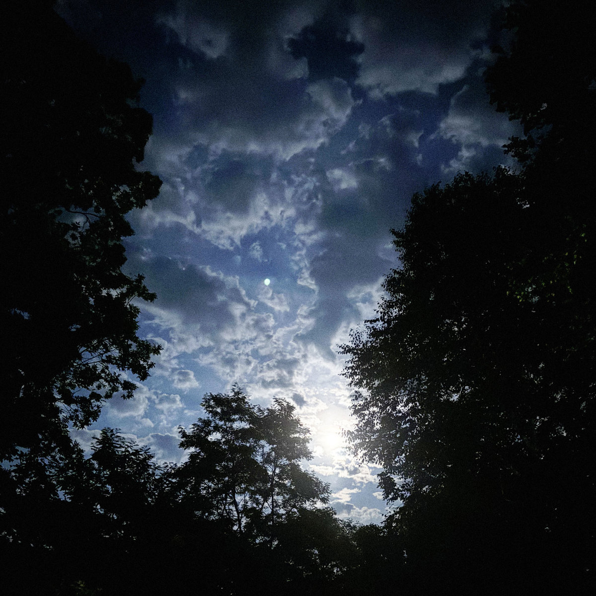 the world throbbed with animism