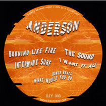 Anderson — Anderson - Burning Like Fire EP - DIY003